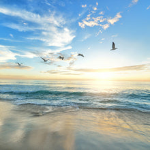 Load image into Gallery viewer, Morning Beach scene