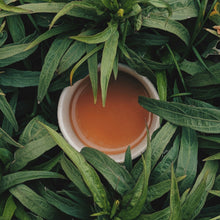 Load image into Gallery viewer, Tea cup surrounded by tea leaves. Fresh Tea home scent at scentfluence