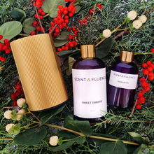Load image into Gallery viewer, Bottle of Scentfluence Douglas Fir and Sweet Embers Christmas inspired home scents and gold ridge scent diffuser on green holiday inspired folliage