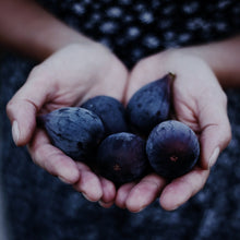 Load image into Gallery viewer, Hands holding figs