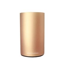 Load image into Gallery viewer, Luxe Chrome | home scent diffuser