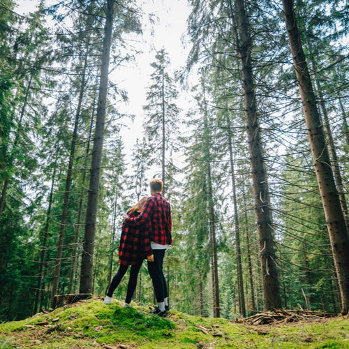 Walk in the woods, couple stands in a forrest of tall trees