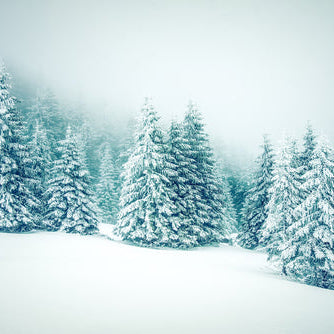 Winter Pine with snow | Holiday + WInter home scents at ScentFluence