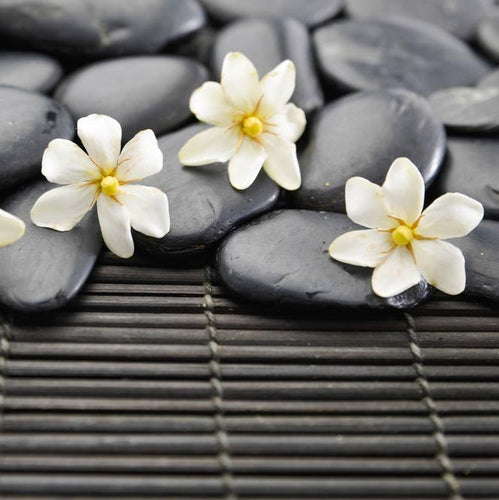 Oasis | diffuser oil | home fragrance