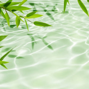 hyatt_zen_scent oil - Scentfluence exclusive