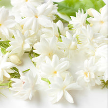 Load image into Gallery viewer, white jasmine flowers and green leaves